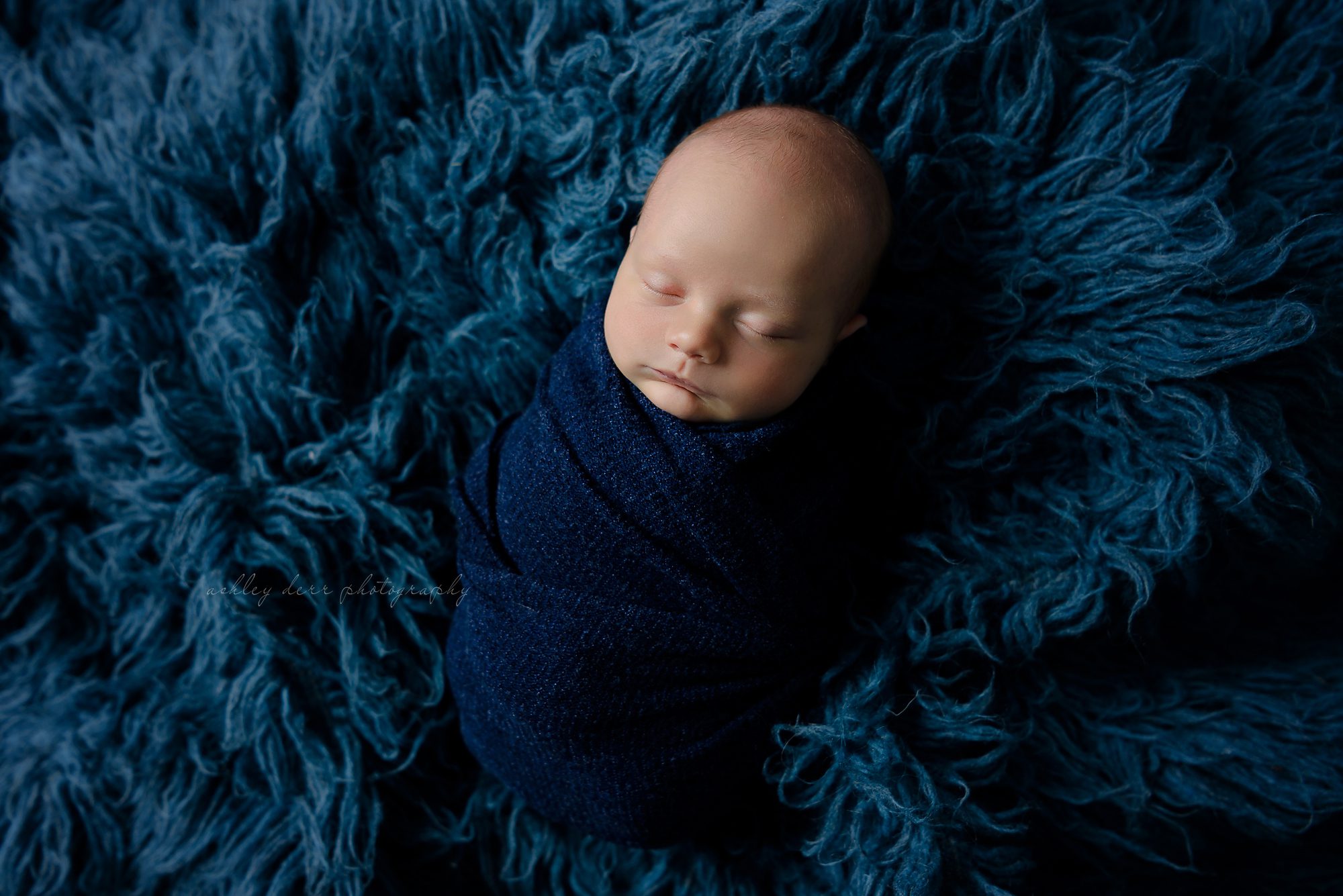 Ellwood City Newborn Photography