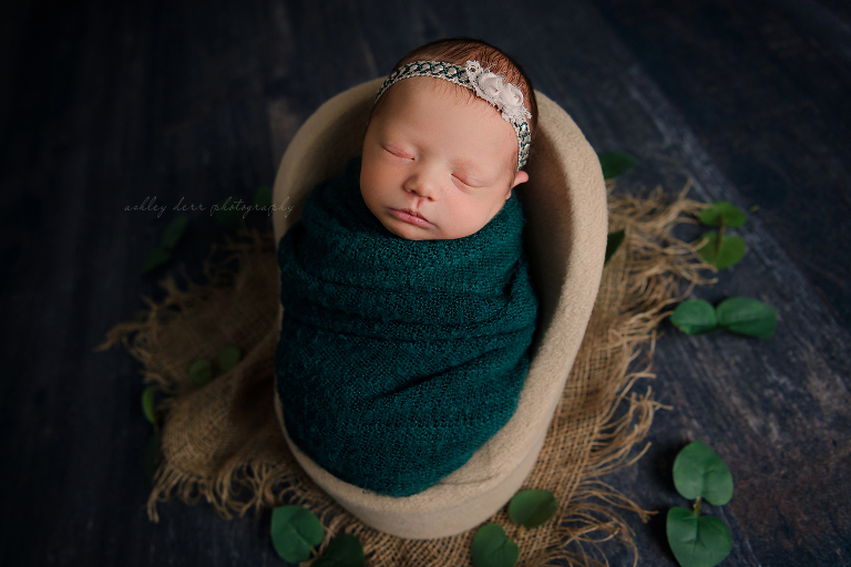 Newborn Photographer 15202