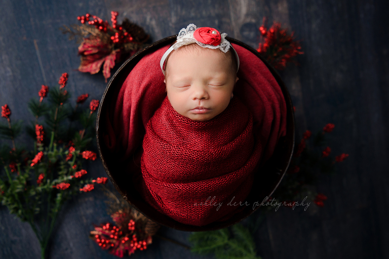 Newborn Photographer 15202