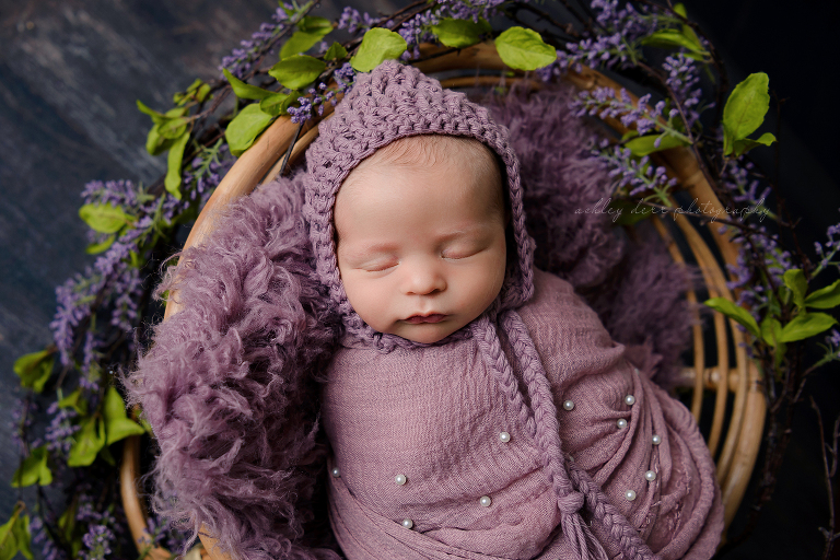 Newborn Photography Pittsburgh