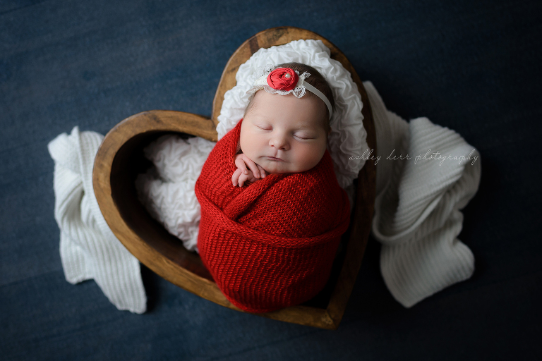 Pittsburgh Newborn Photography