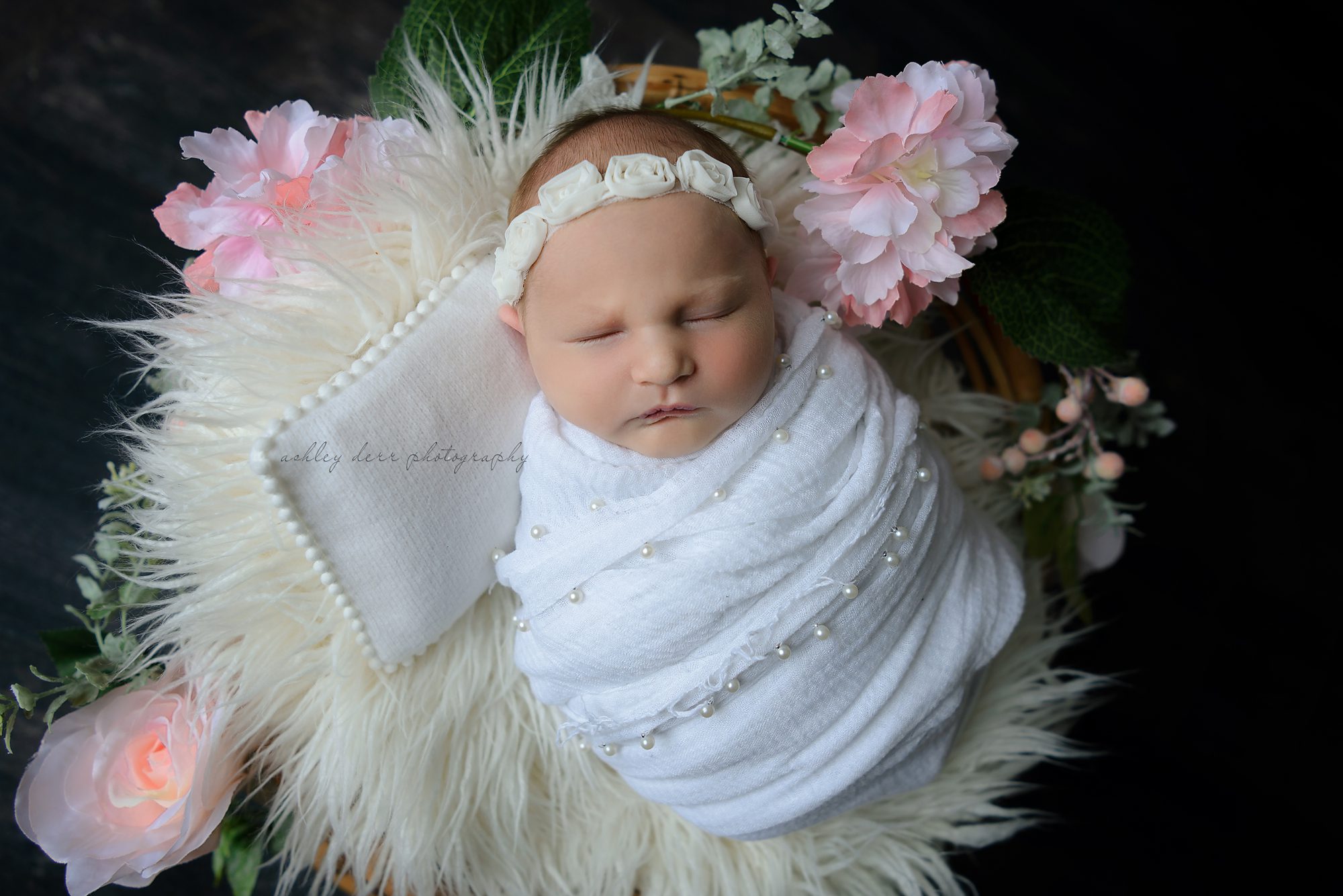 Glenshaw PA Newborn Photography