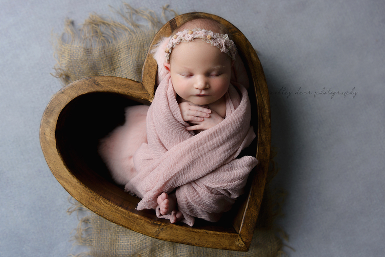 Glenshaw PA Newborn Photography