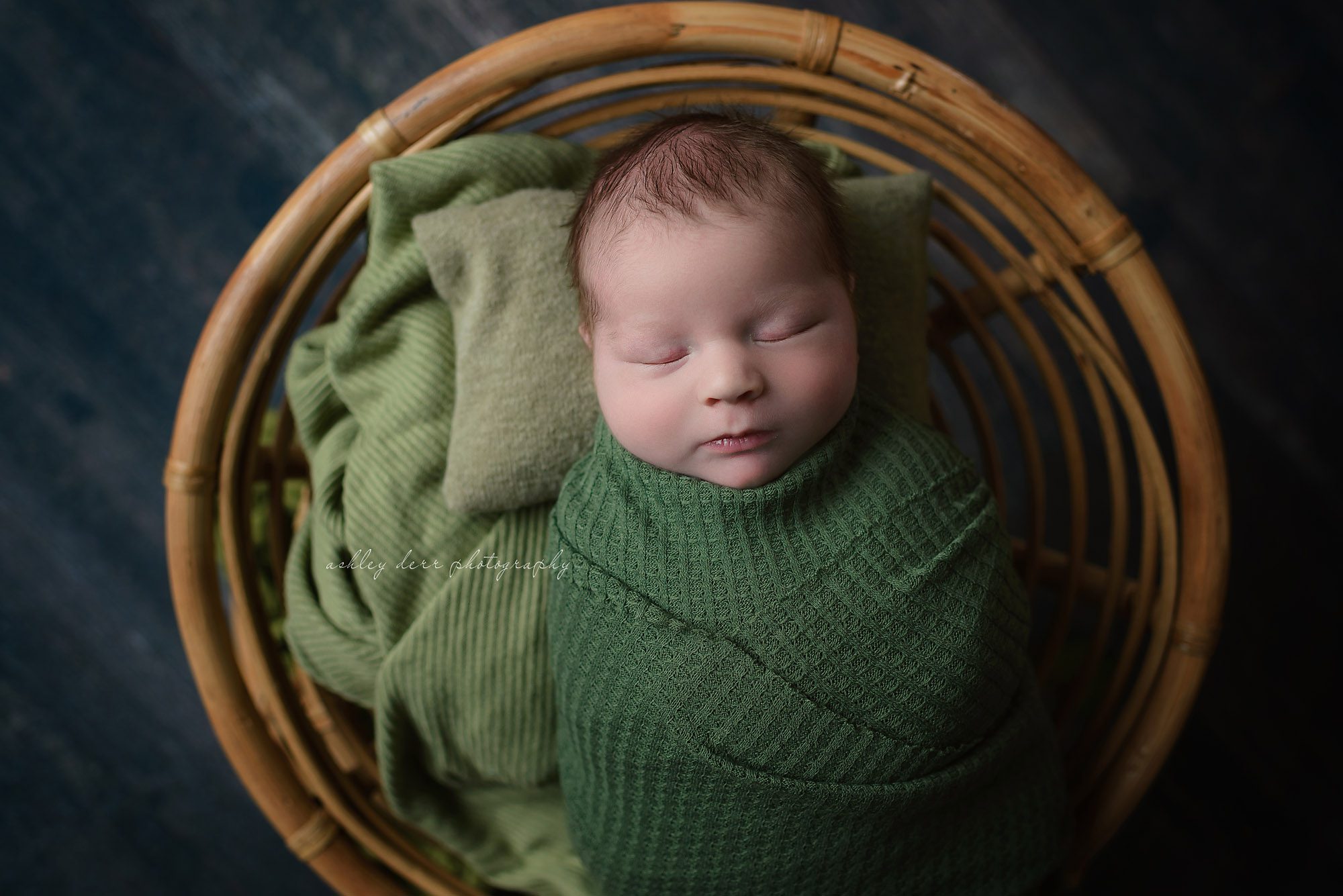 Newborn Photography Pittsburgh 15202