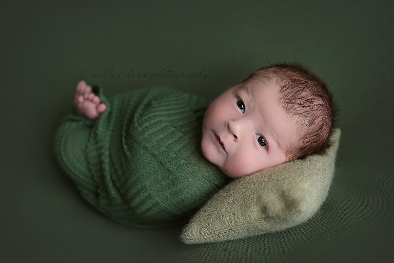 Newborn Photography Pittsburgh 15202