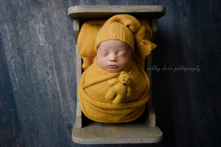 best Newborn Photographer Pittsburgh