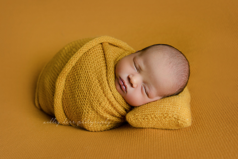 best Newborn Photographer Pittsburgh