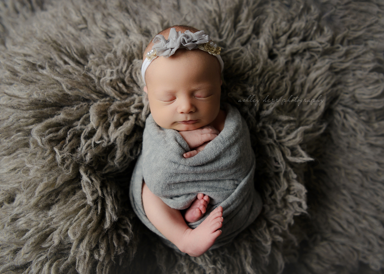 Pittsburgh newborn baby photographer