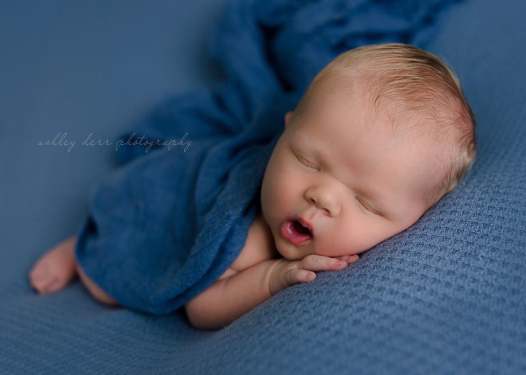 Pittsburgh Newborn Mini Photography