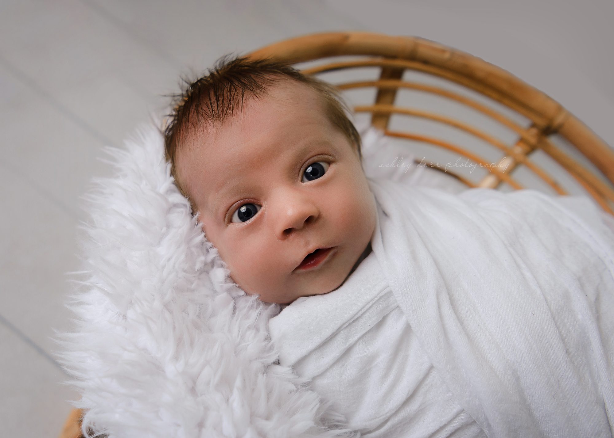 Baby photographer in Pittsburgh PA