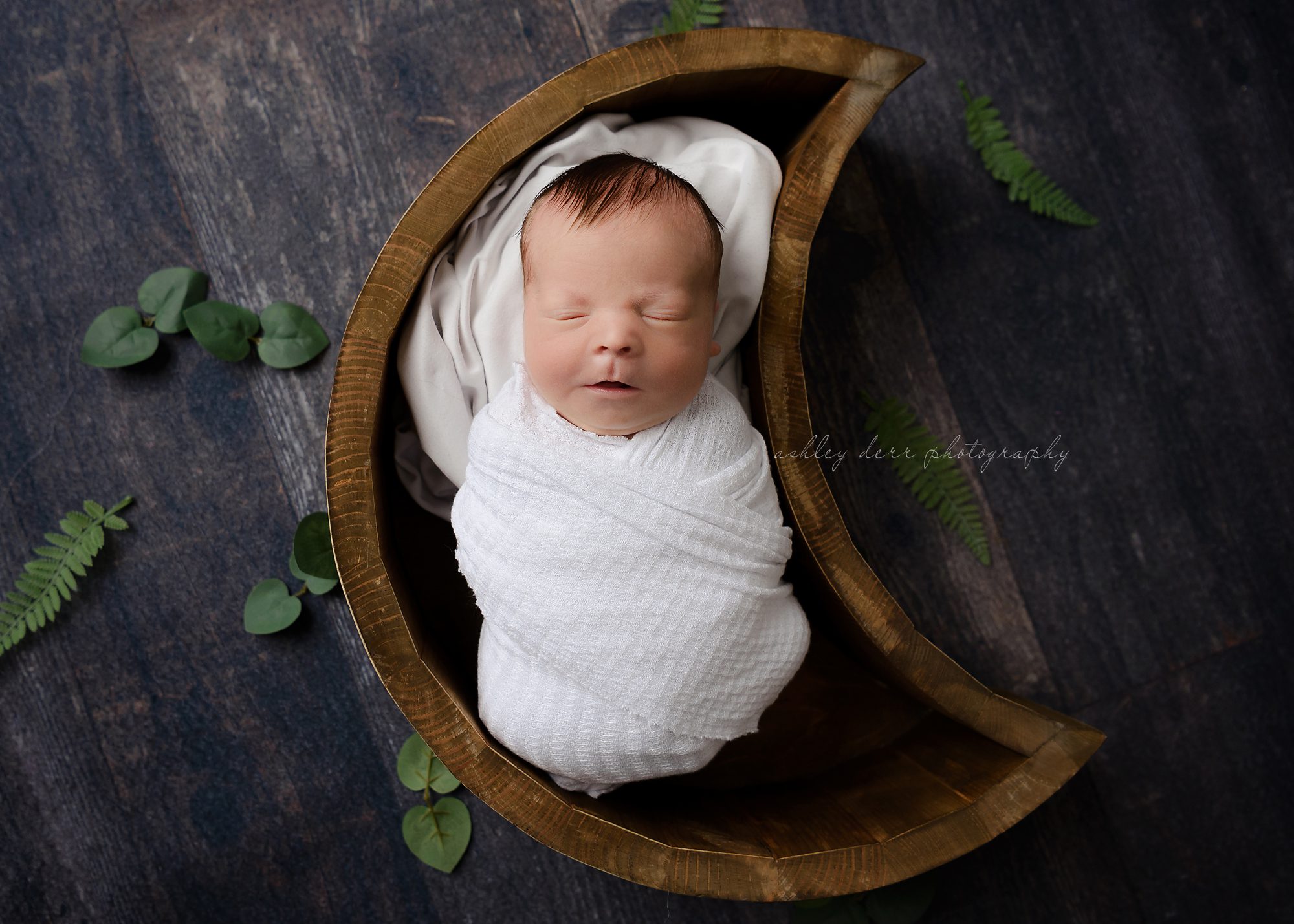 Pittsburgh Newborn Photography