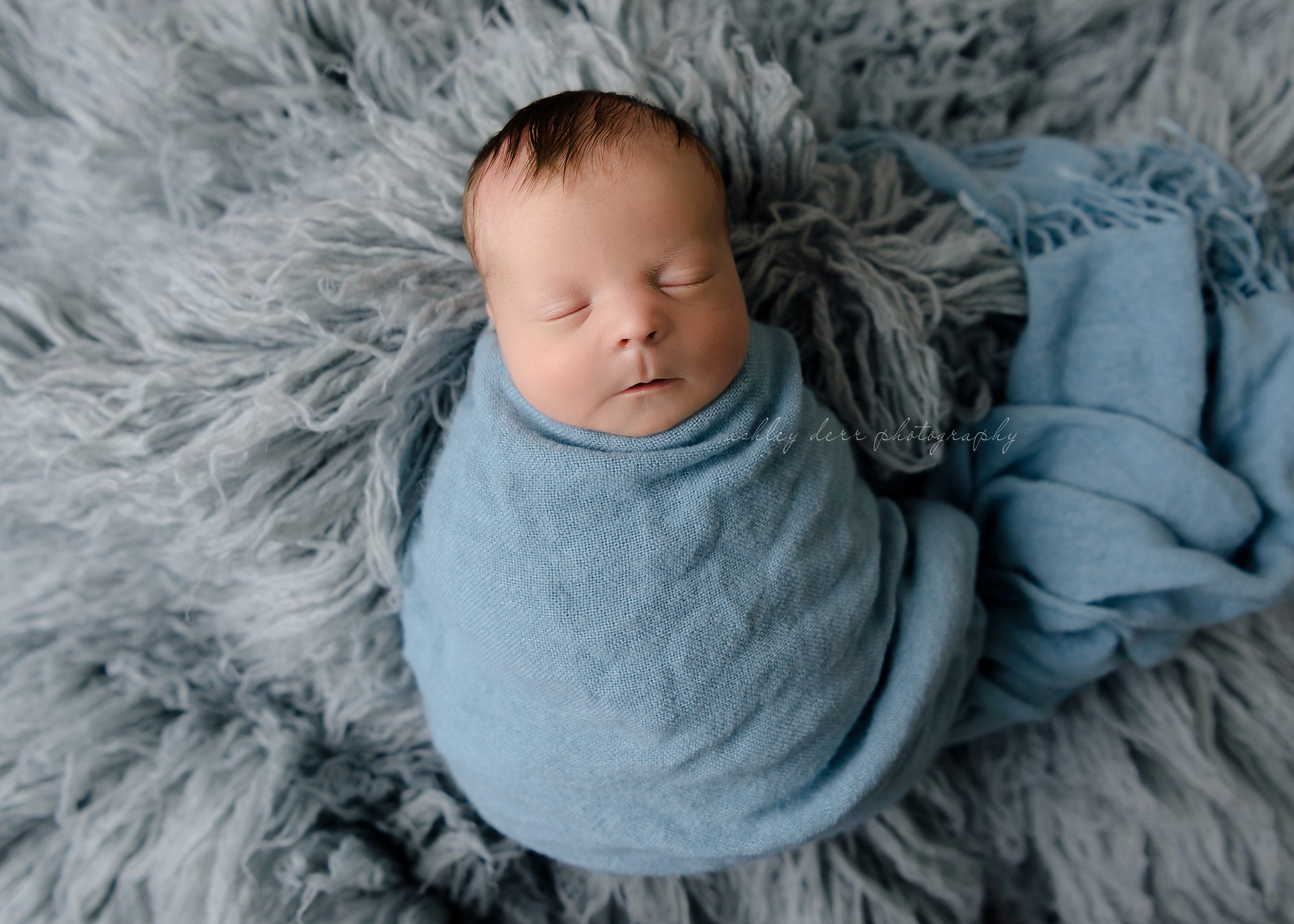 Pittsburgh Newborn Photography