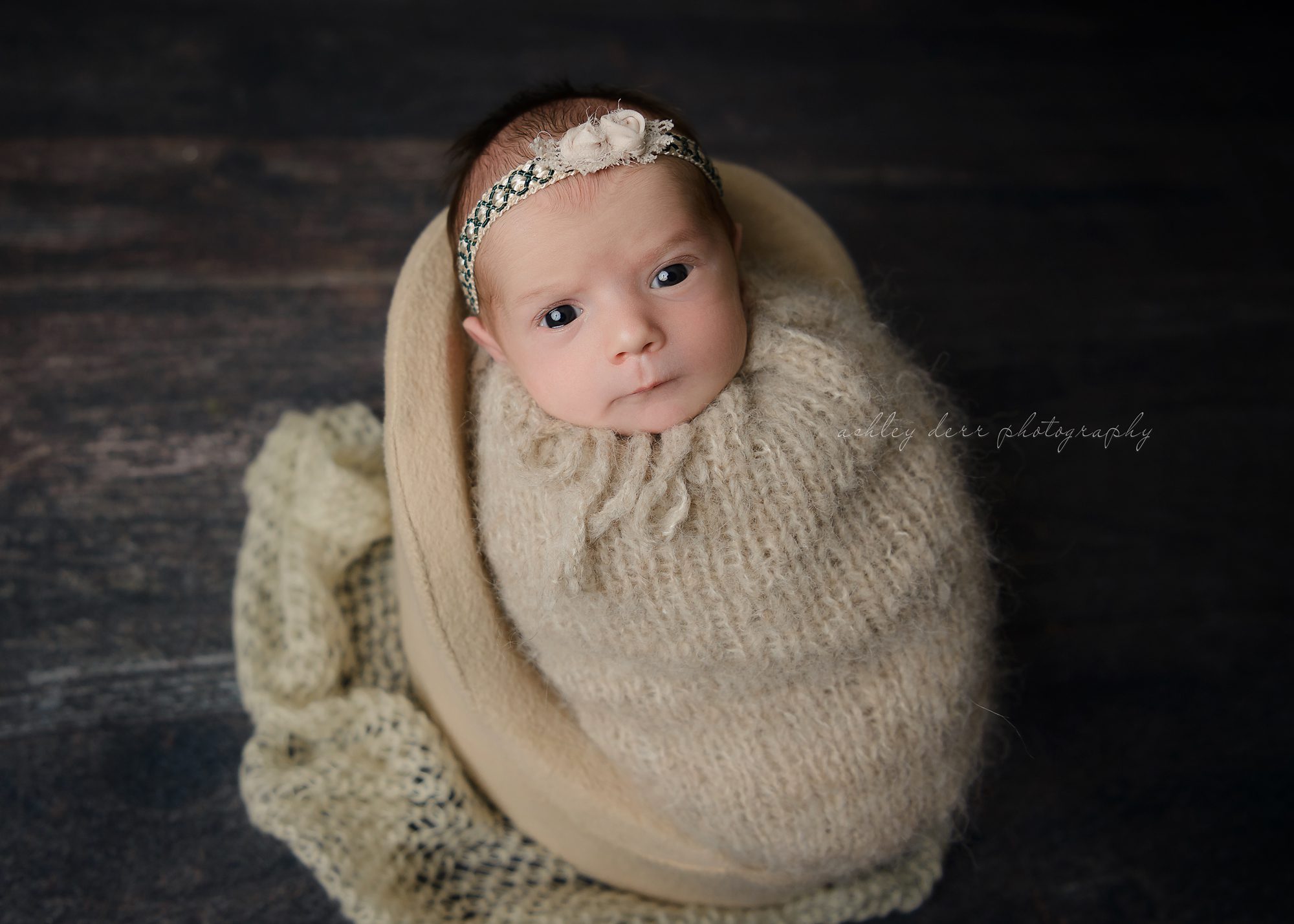 Pittsburgh Newborn Photography