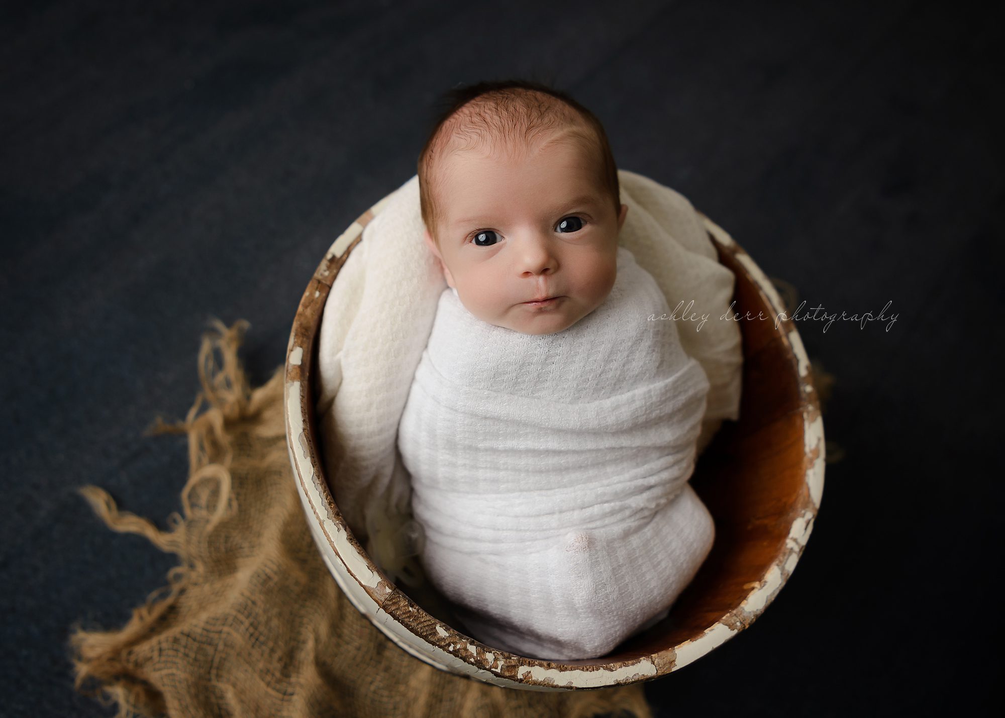 Pittsburgh Newborn Photography