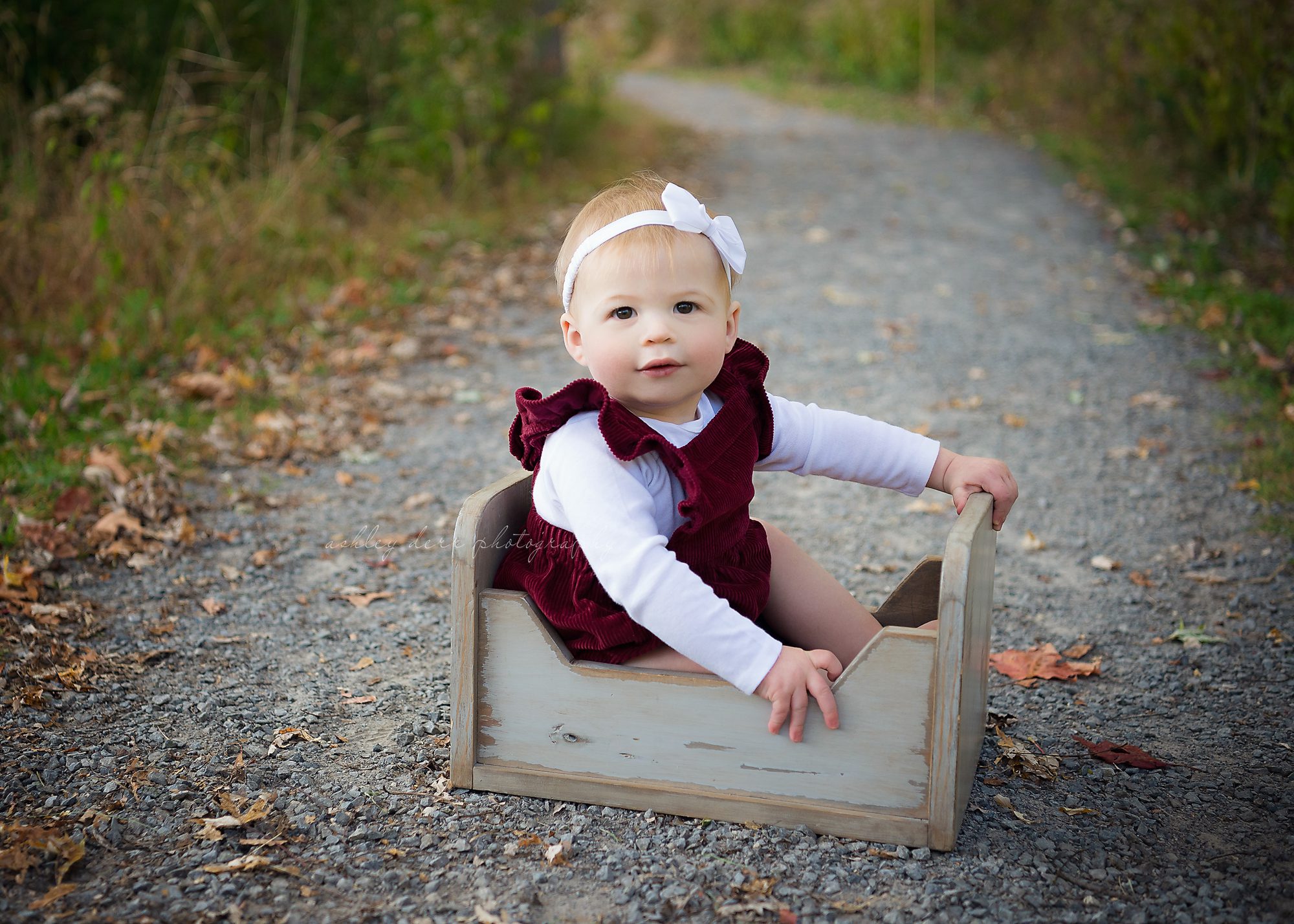 pittsburgh photographer mini session