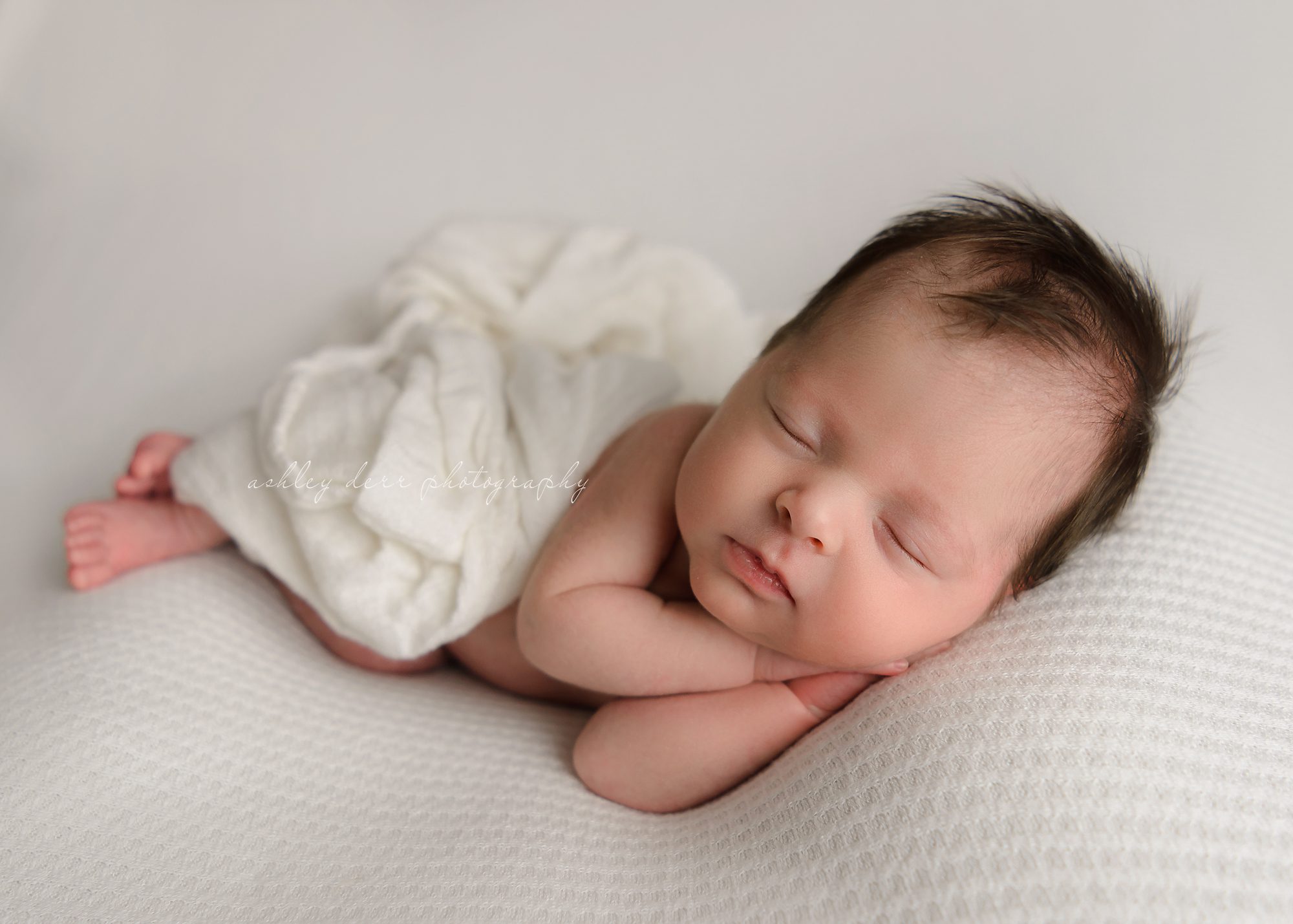 top newborn photography pittsburgh