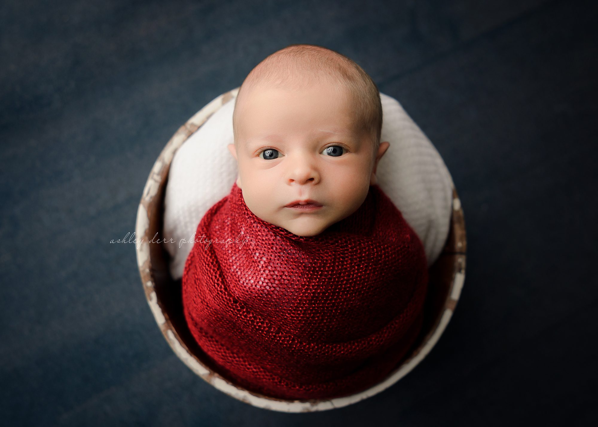 Best newborn photographer in pittsburgh